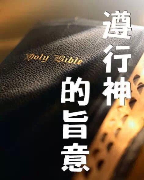 神的旨意的四个方面截图2