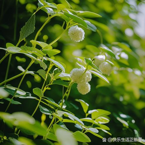 浪漫唯美的爱情句子