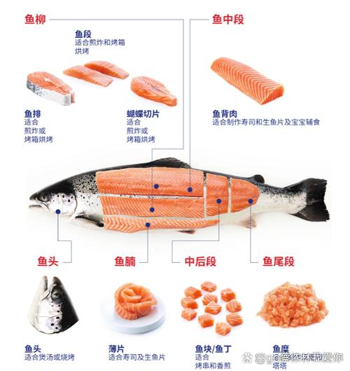 三文鱼可以冻了之后解冻生吃吗