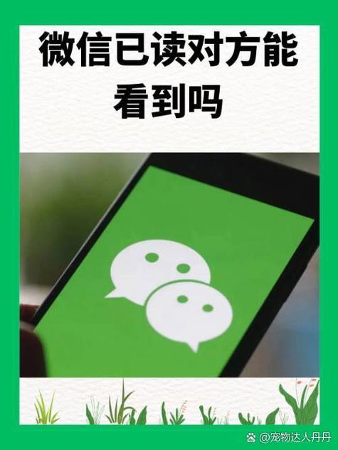信息显示送达是对方已经看了吗