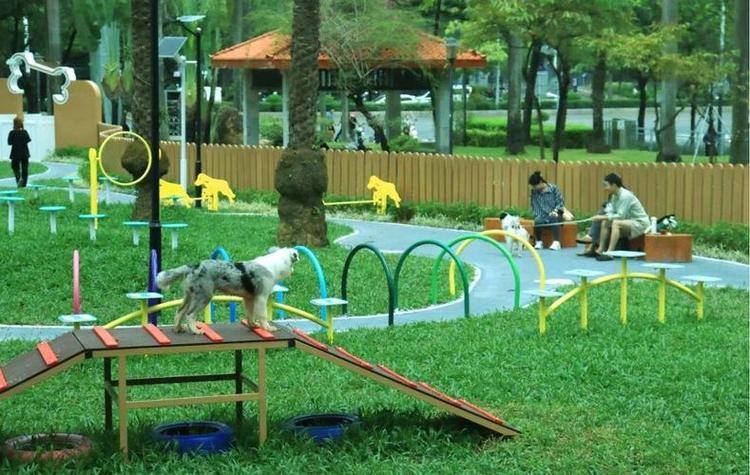 下载狗免费下载