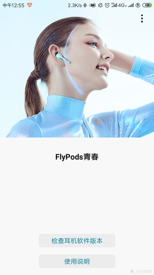 flypods青春版软件