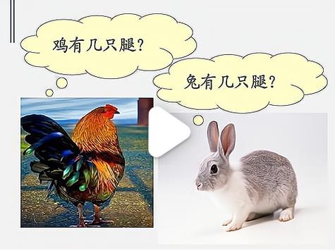 兔和龙可以合伙做生意吗