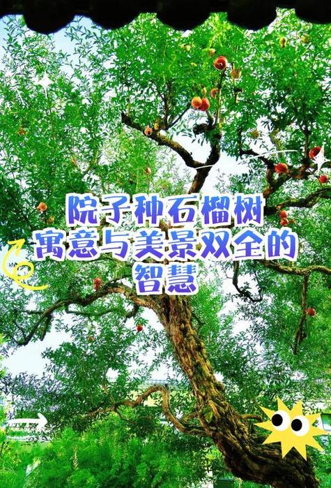 石榴树旁边不能种什么树