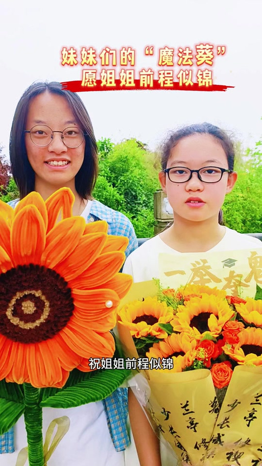 向日葵可以送姐姐吗截图2