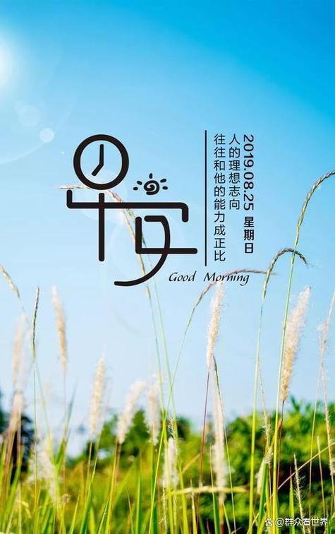 心理暗示叫什么效应