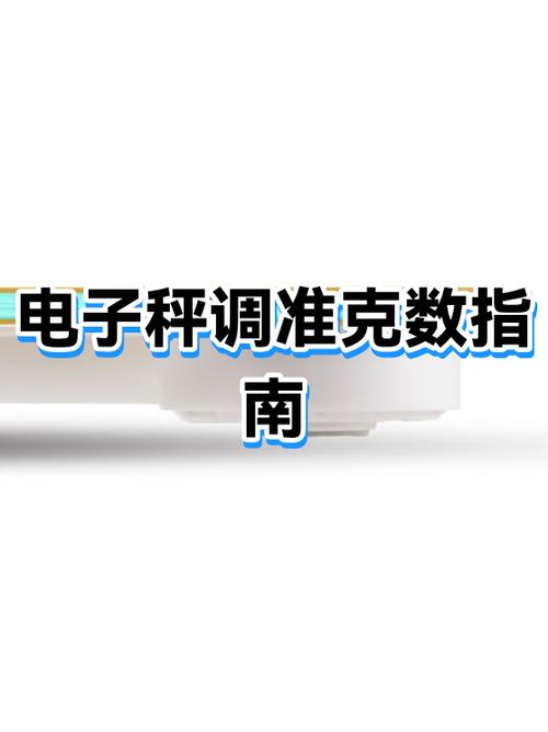 电子秤怎样调克数