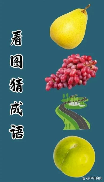 你说我猜水果游戏