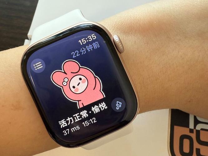 watch10功能详细介绍截图1