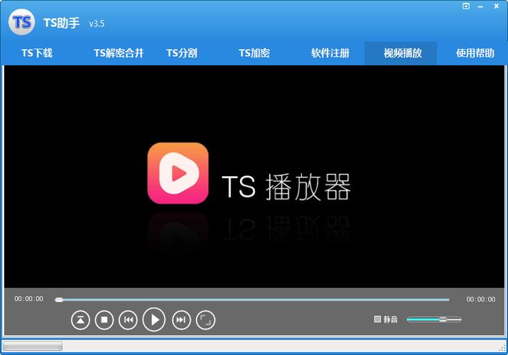 ts文件无法播放怎么办