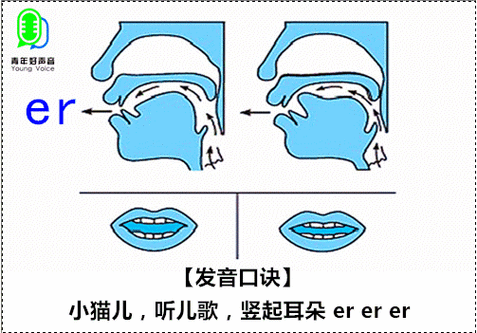 韵母开口呼