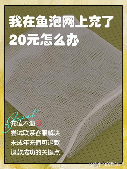 怎样给手机鱼泡网充值
