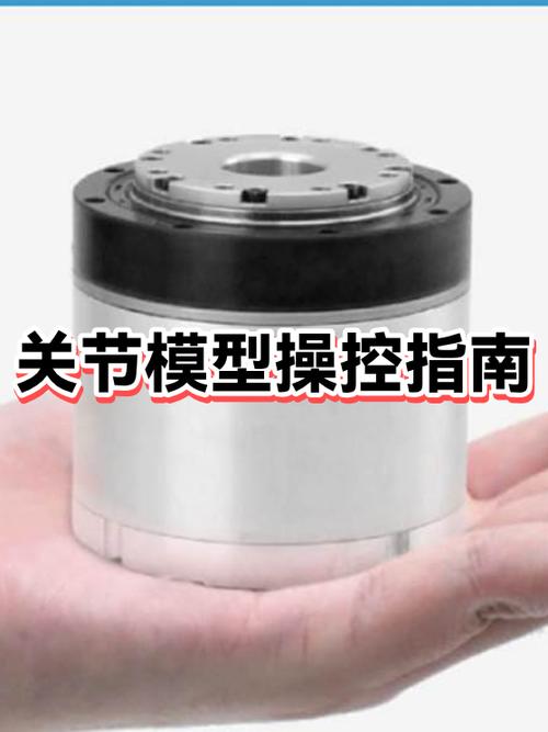 如何让模型动起来
