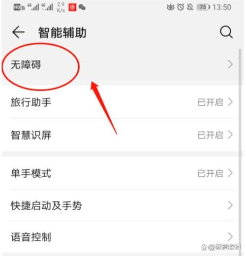 表格中设置下拉选项
