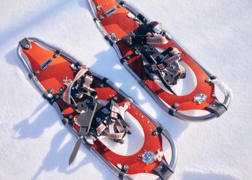 FlatDo赚钱截图3