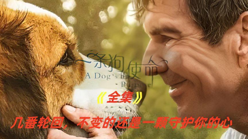 你的世界有很多人而我的世界只有你