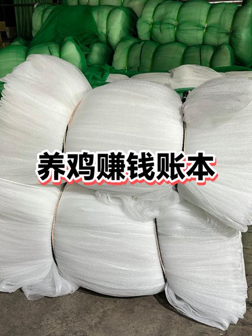 在手机上养鸡赚钱app下载