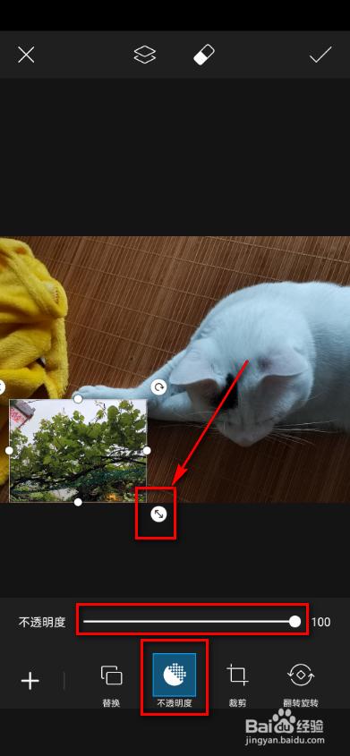 picsart取消订阅在哪里