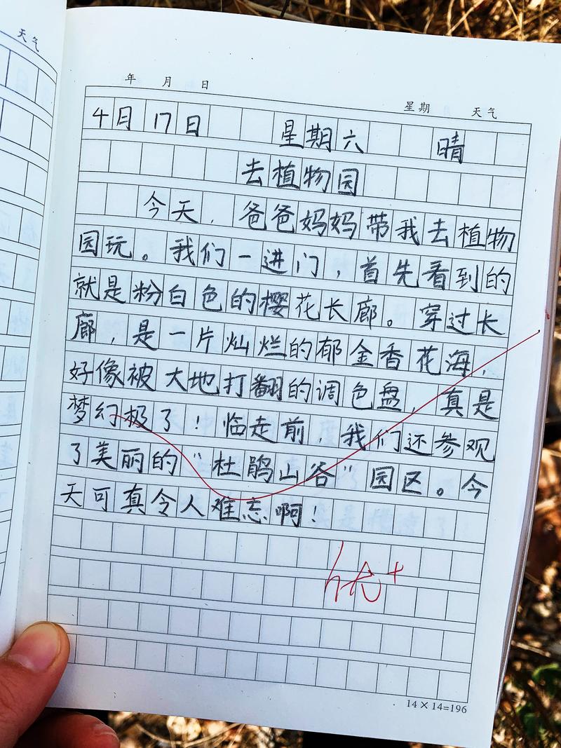 学生日记本的图片 学生日记本的图片