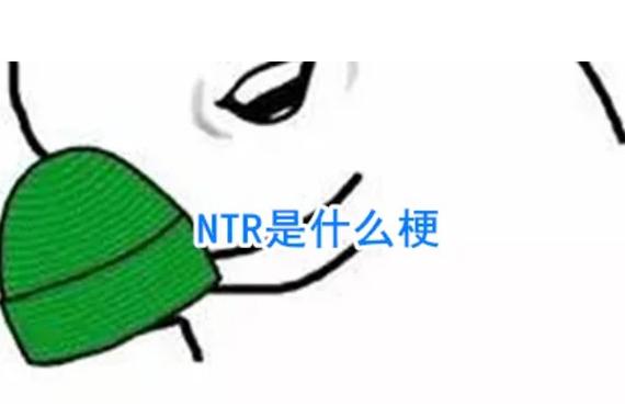 NTR是啥意思?
