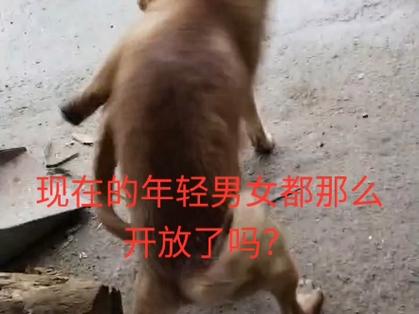 叼嗨免费截图2