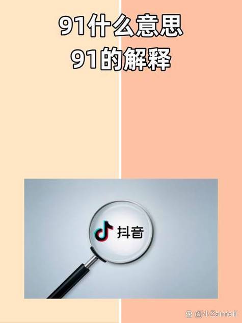 这是一个梗什么意思