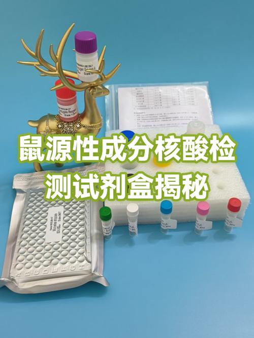 核酸检测检测的是什么核酸