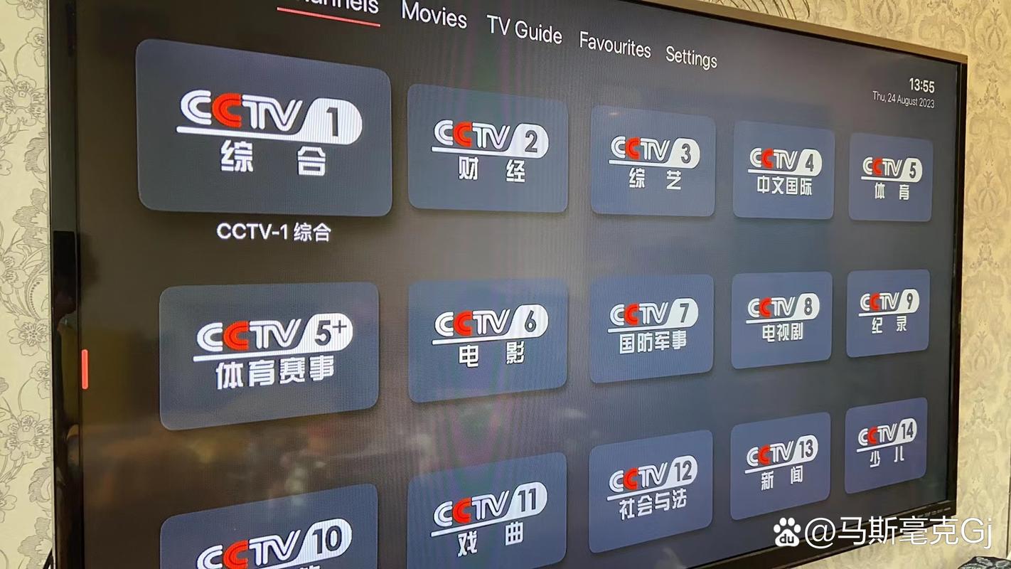 mytv大陆版官网截图2