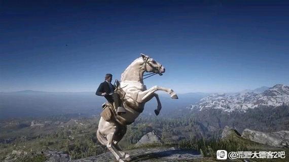 荒野大镖客2公马和母马哪个好