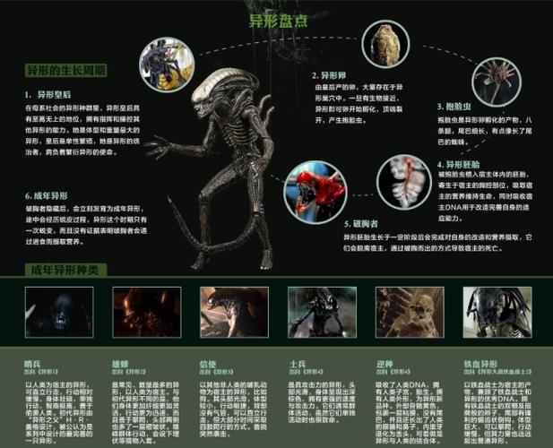 所有种类异形图解
