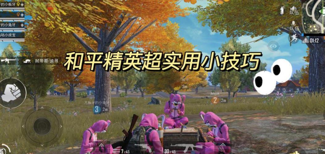 和平精英高手吃鸡视频