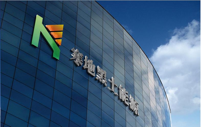 寒地黑土集团是什么企业