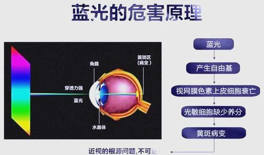 太阳蓝光伤眼睛么