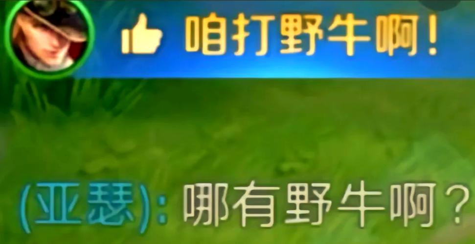 王者后羿最经典十句话