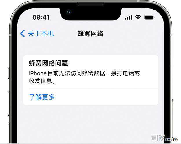 iphone蜂窝网络错误截图3