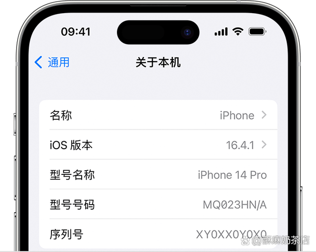 序列号开头的是什么