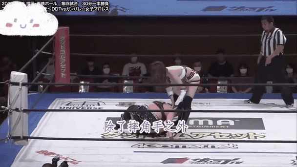 catfight女子摔跤