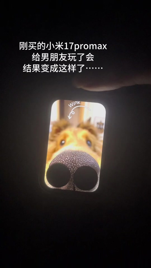 小米17pro恶搞背屏壁纸下载