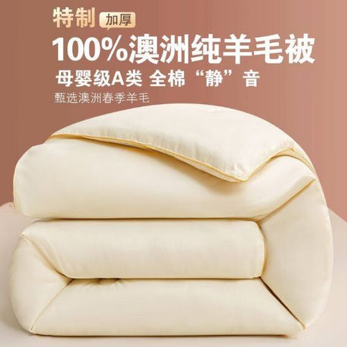 羊毛羊绒绵羊毛