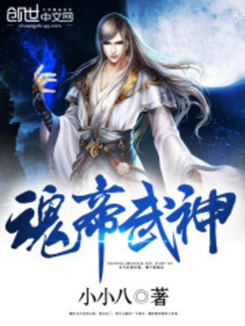 魂帝武神小小八笔趣阁