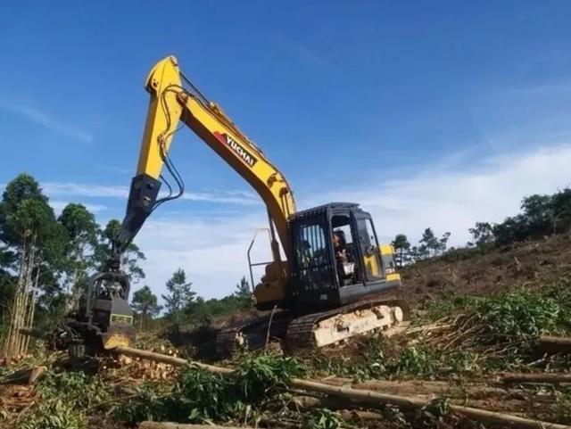 伐木建造项目有哪些