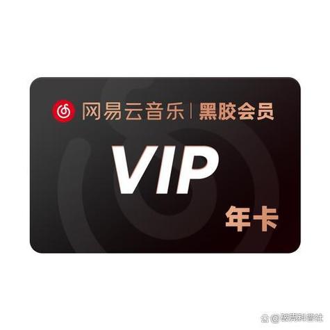 直接买SVIP,不买Vip能用吗?