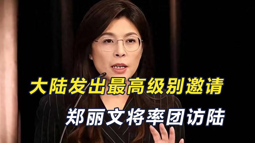白岩松谈郑丽文将率团访大陆