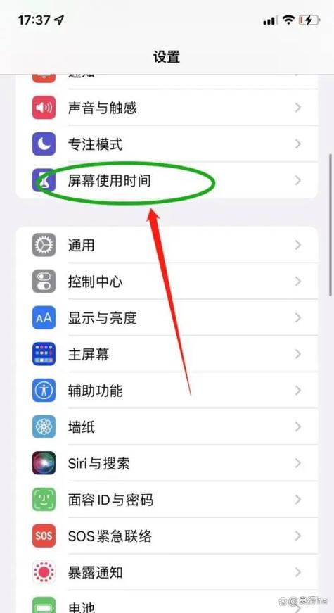 苹果家长模式怎么关闭