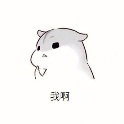 仓鼠过分的表情包