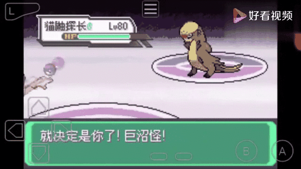 阿洛解说口袋妖怪究极绿宝石
