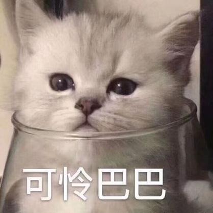 可怜的表情包截图2