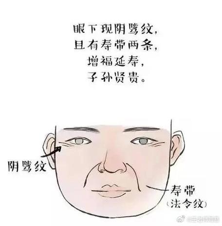 阴纹是什么意思