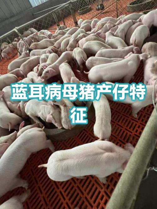 旧蓝牙耳机再利用