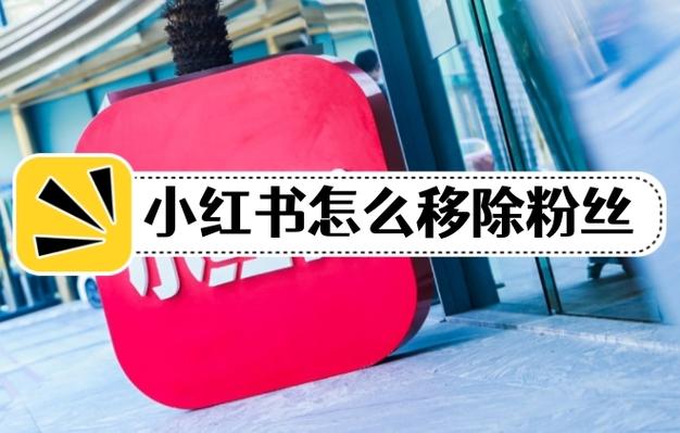手机怎么移除粉丝截图2